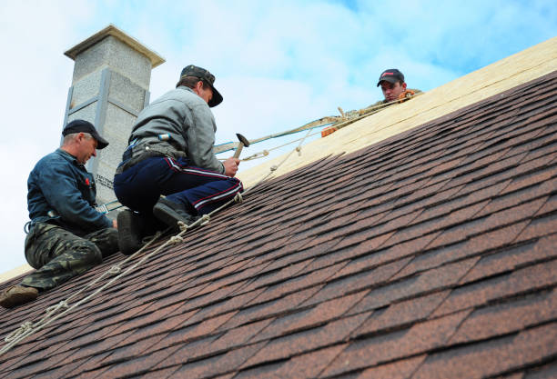 Best Roof Gutter Cleaning  in Milford, NJ